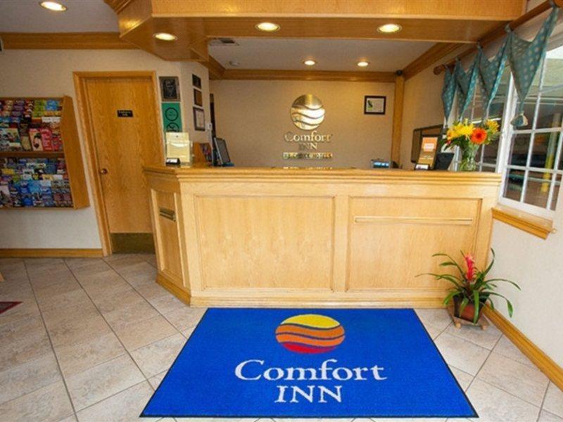 Comfort - West Angeles